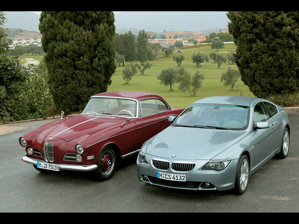 BMW 503: 9 фото