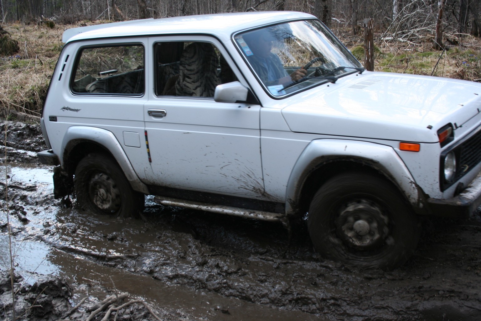 Lada Niva: 12 фото