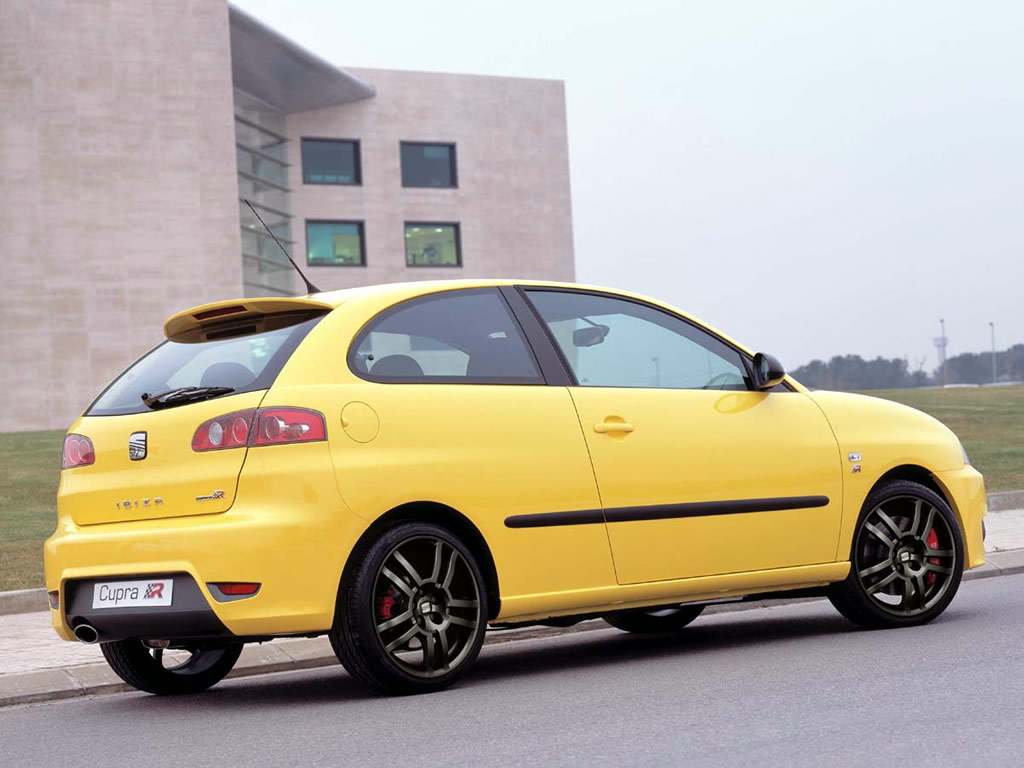 Seat Ibiza Cupra: 1 фото