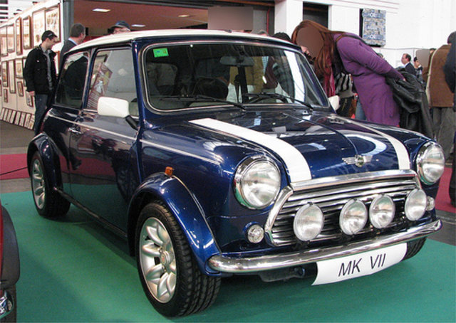 Rover Mini: 8 фото